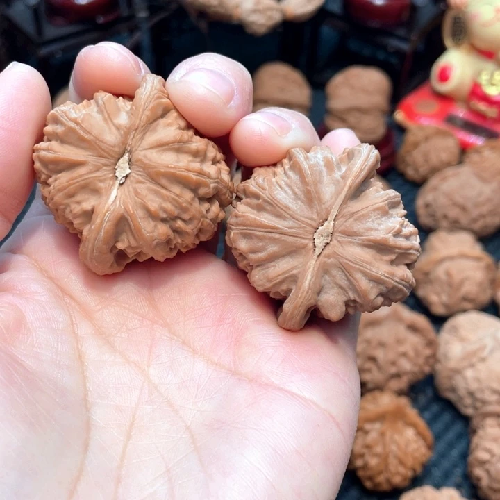 原装白狮子4.1全品无修。