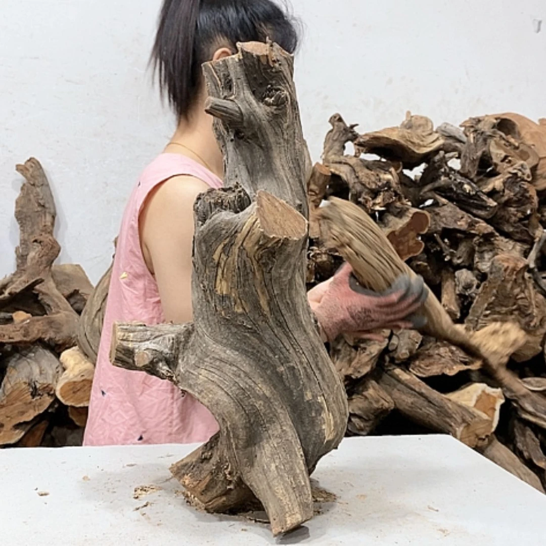 【闪购商品】柏木兰*幽我们都是好孩子呀