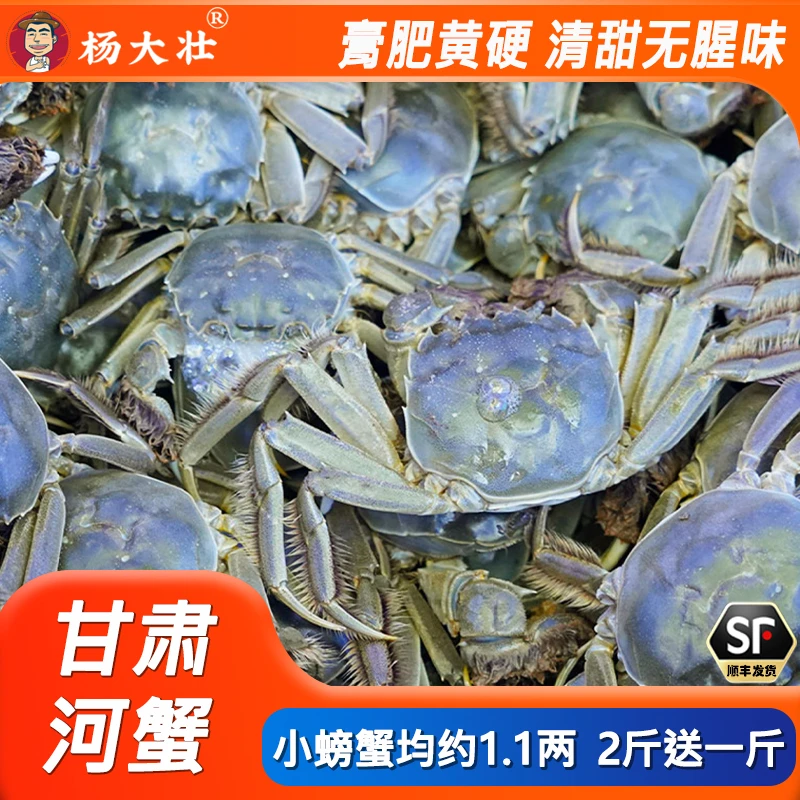 甘肃活蟹公母混装均约1.1两2斤送一斤活蟹膏肥黄硬清甜无腥味