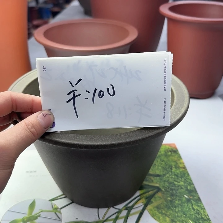 紫砂222222222222222