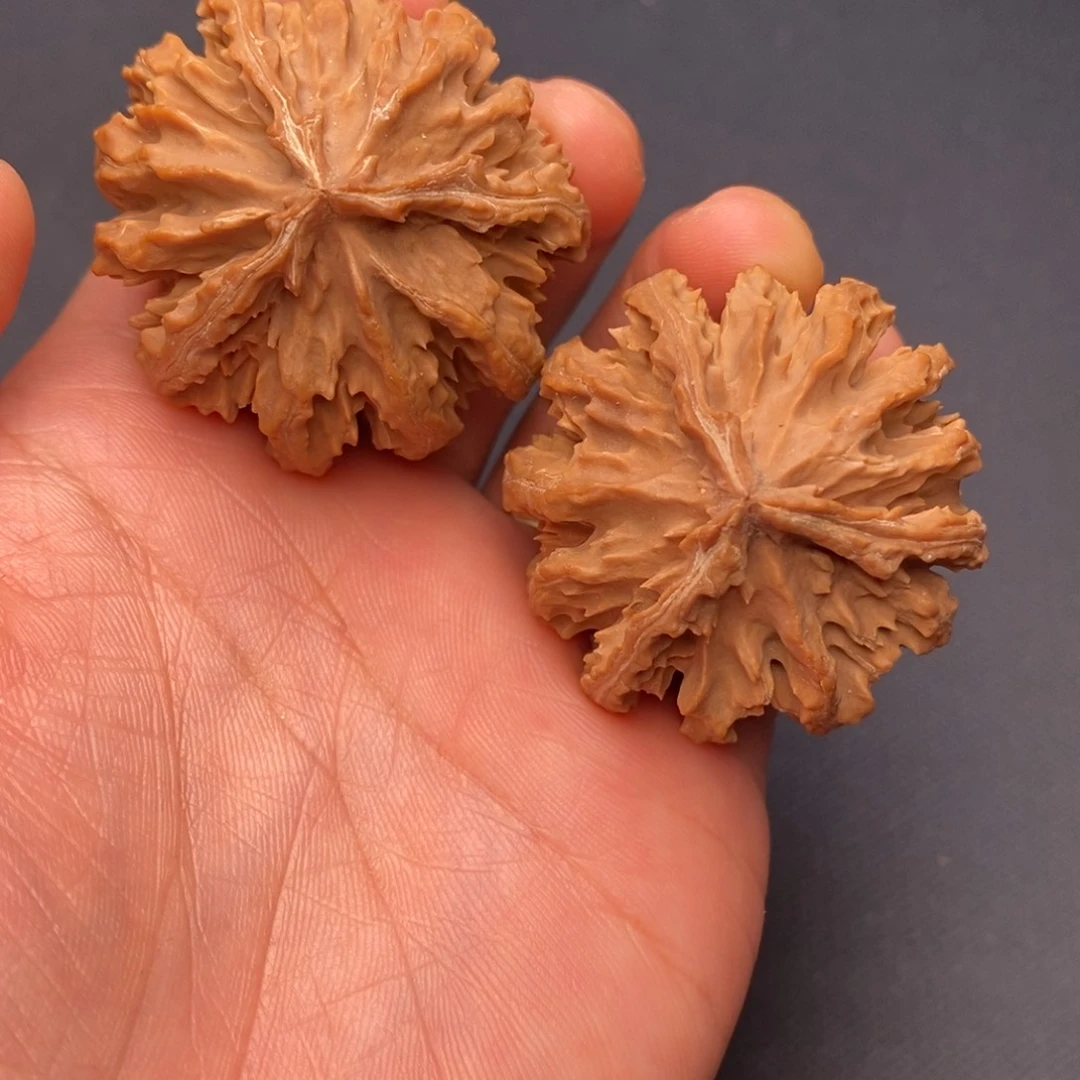 吊坠文玩核桃秦岭野生植物资源
