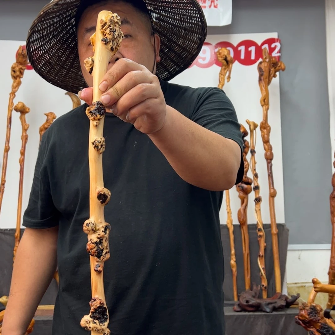 黑果木其他黑果木793