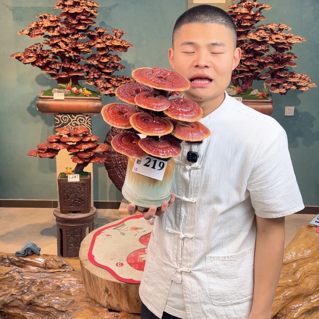 无花朵8888888888