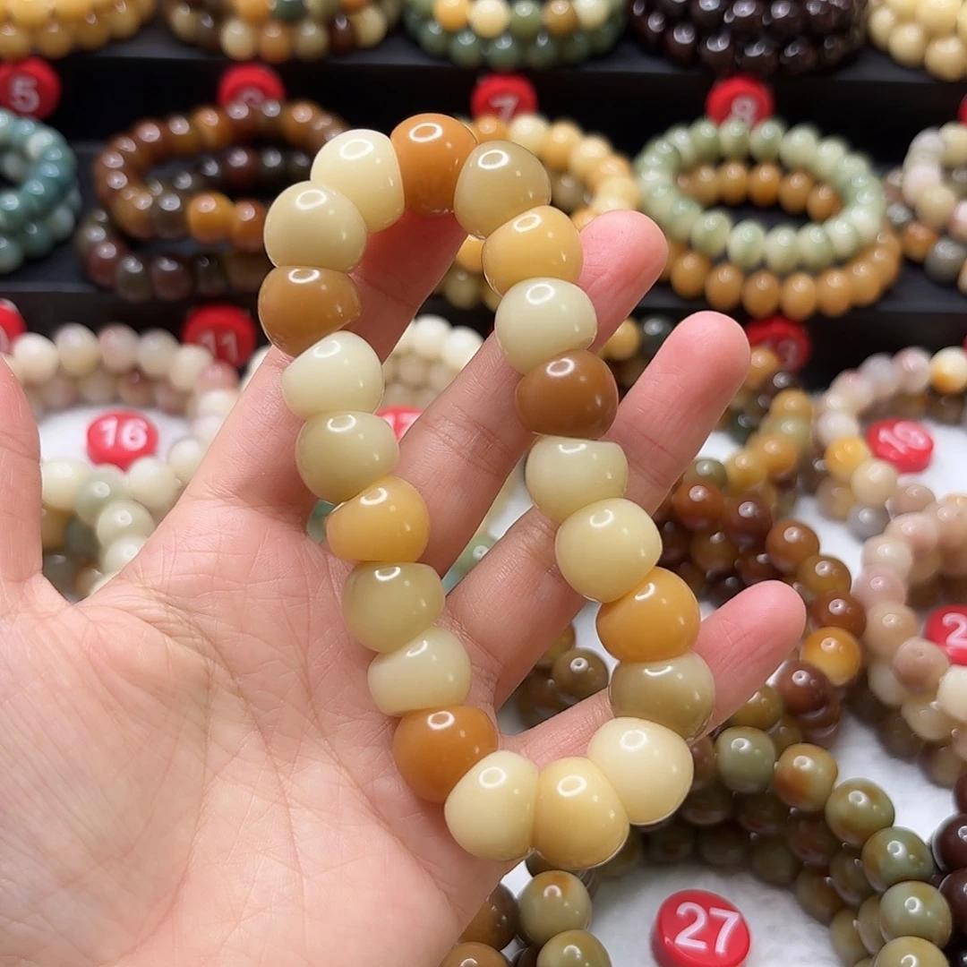 菩提根/象牙果手串大肠