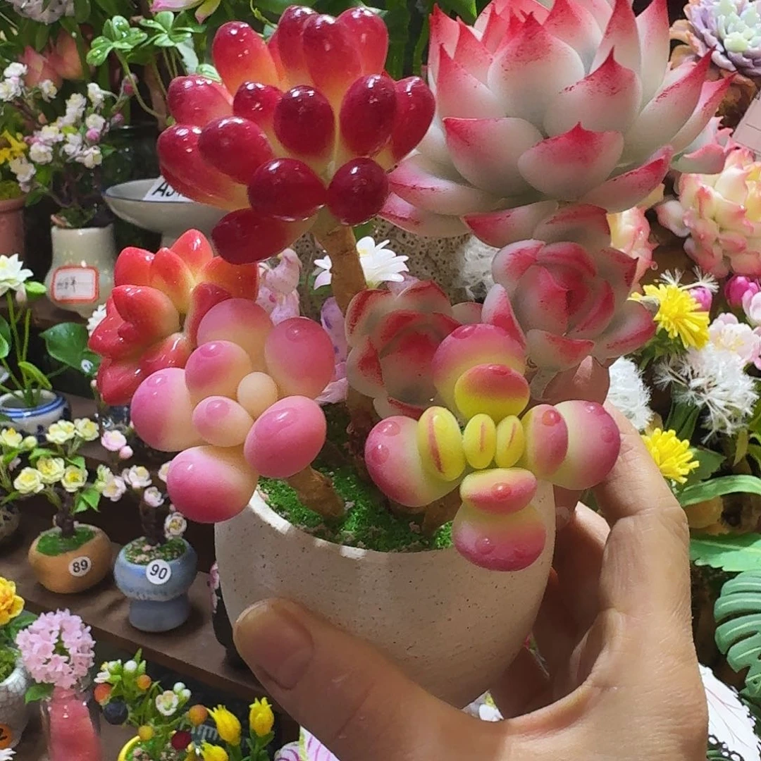 无花朵带盆热水送过来我煮一