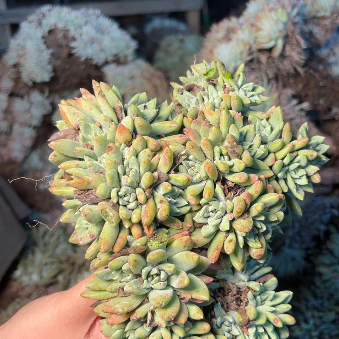 1996哈哈哈哈哈哈哈哈