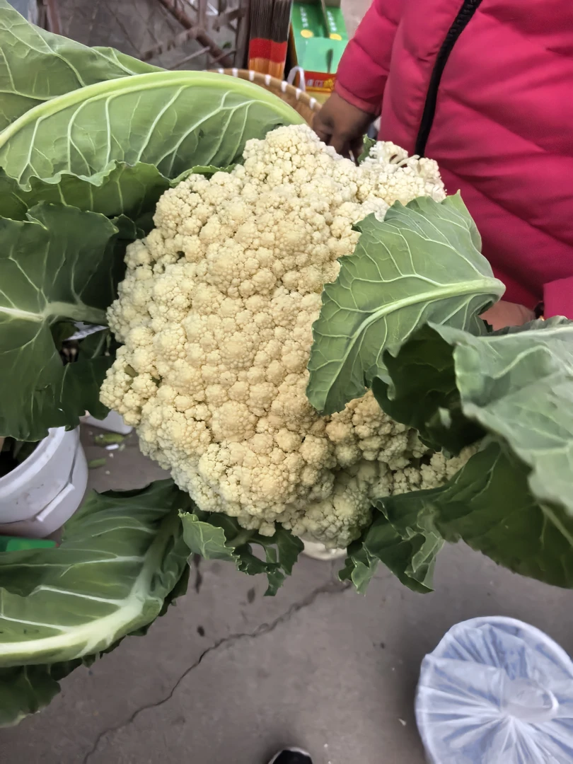 农家自种新鲜花椰菜当季现摘青梗松花菜露天种植散花菜蔬菜