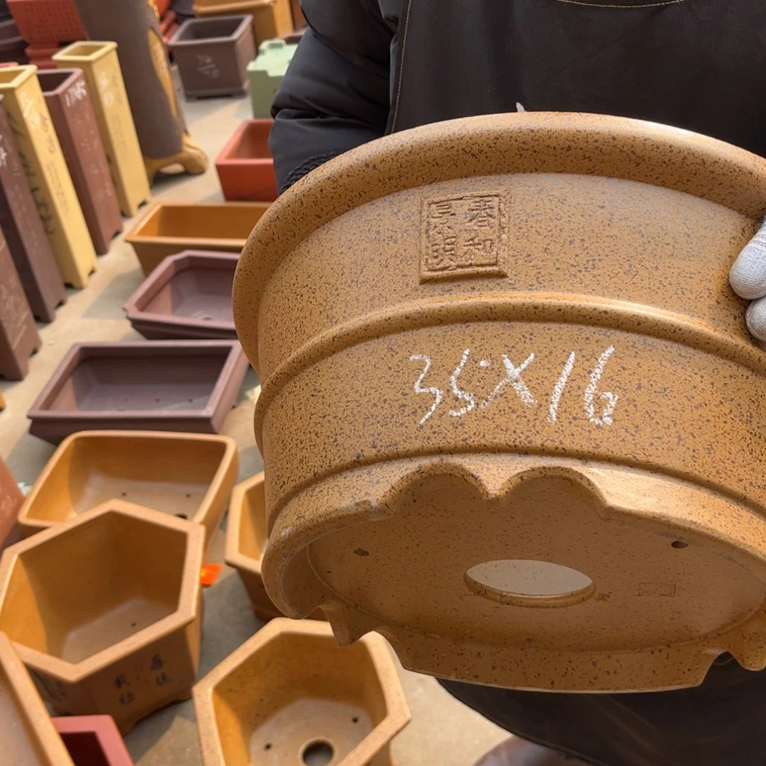 紫砂花盆盆景艺术