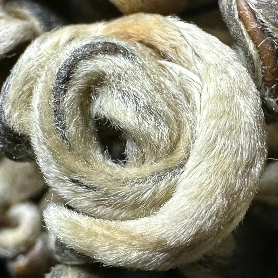 茉莉龙珠茉莉玉螺白雪组合体验品鉴装