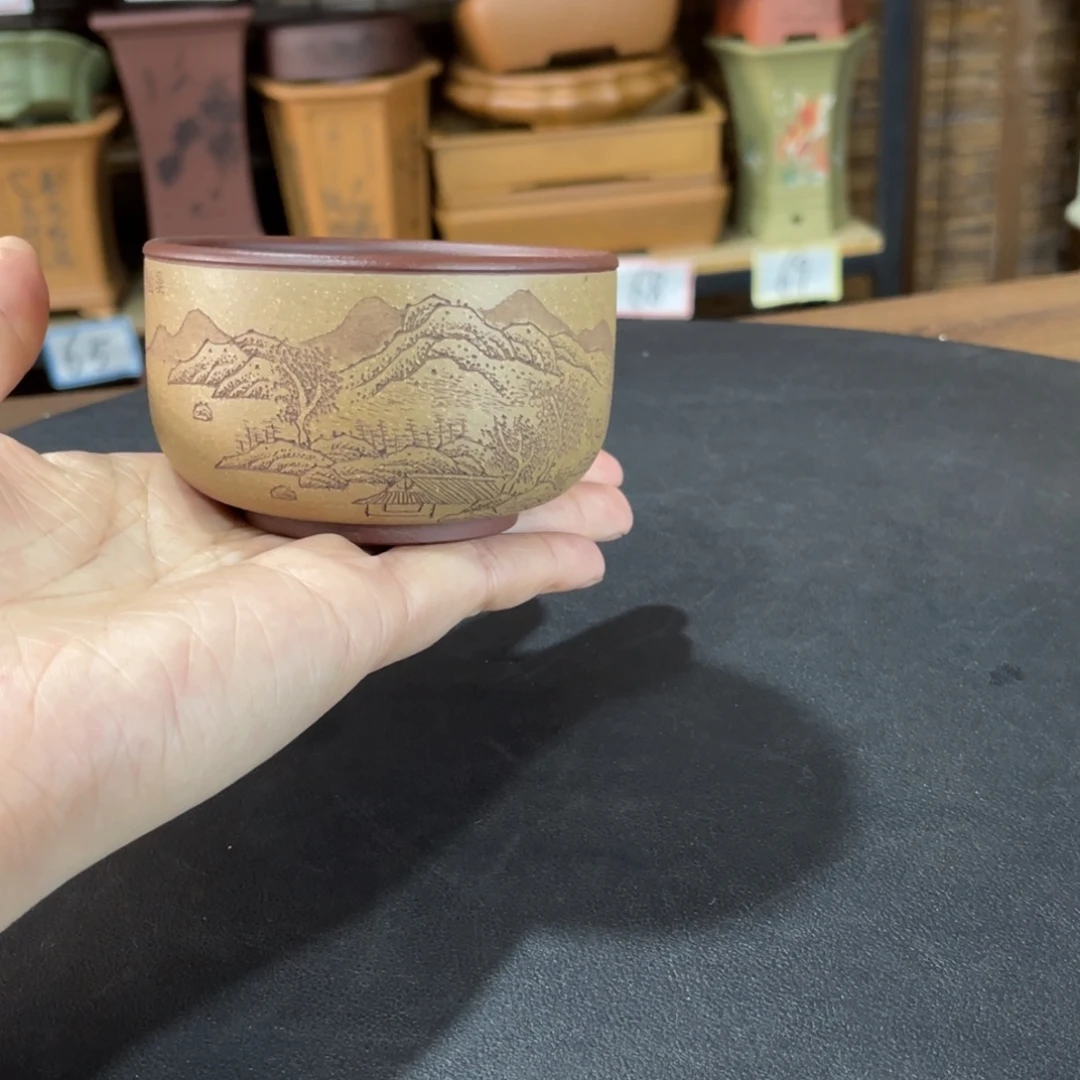 紫砂花盆我们是真的