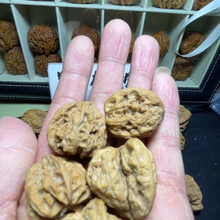 文玩核桃把件晨*异性