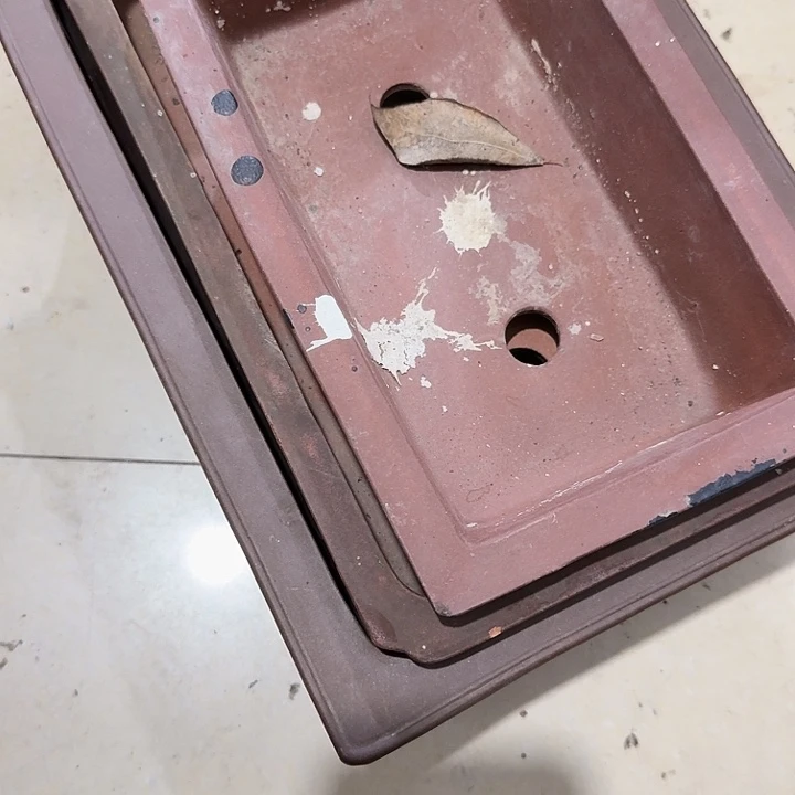 *****扇子吃g恍恍惚惚哈哈哈哈哈哈哈