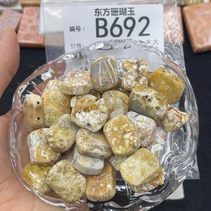 硅化珊瑚（珊瑚玉）颈饰合金