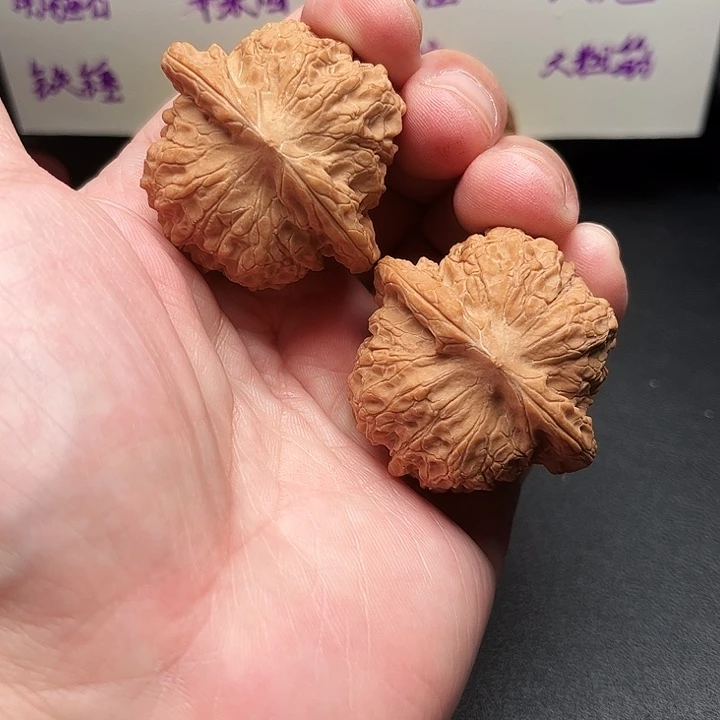 文玩核桃吊坠44全品血麒麟