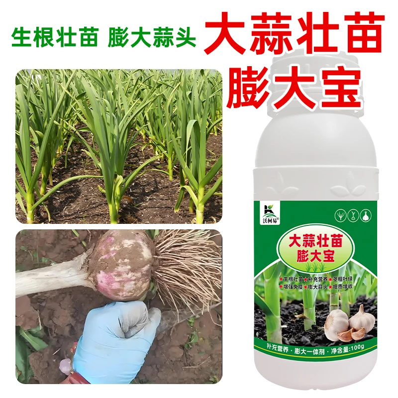 大蒜专用肥补充大蒜营养生根壮苗膨大蒜头专用正品直销绿色水溶肥