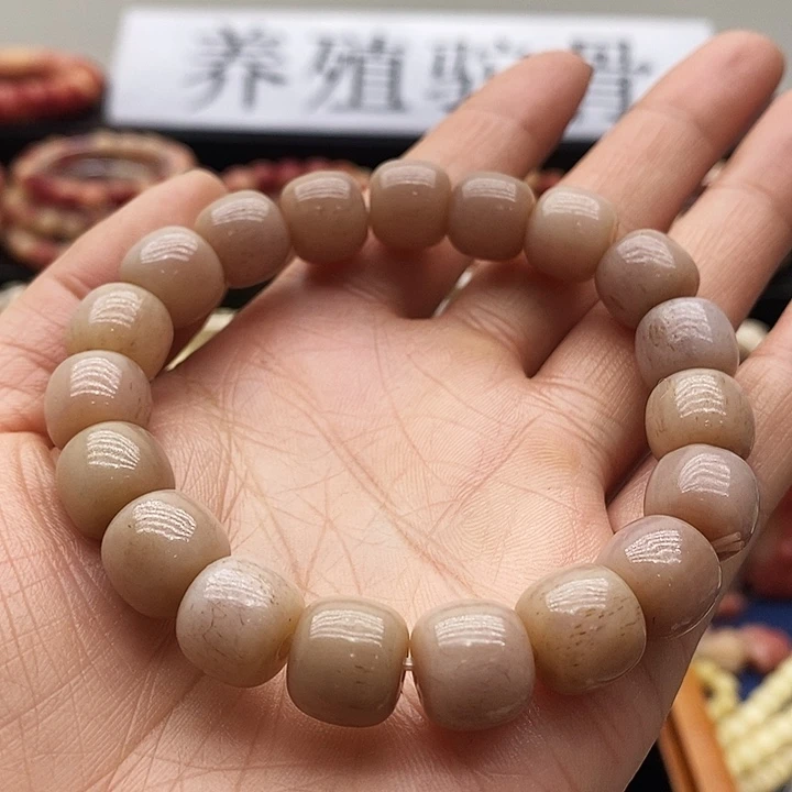 驼骨其他手链紫血12