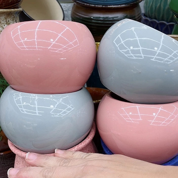 多肉植物陶瓷花盆