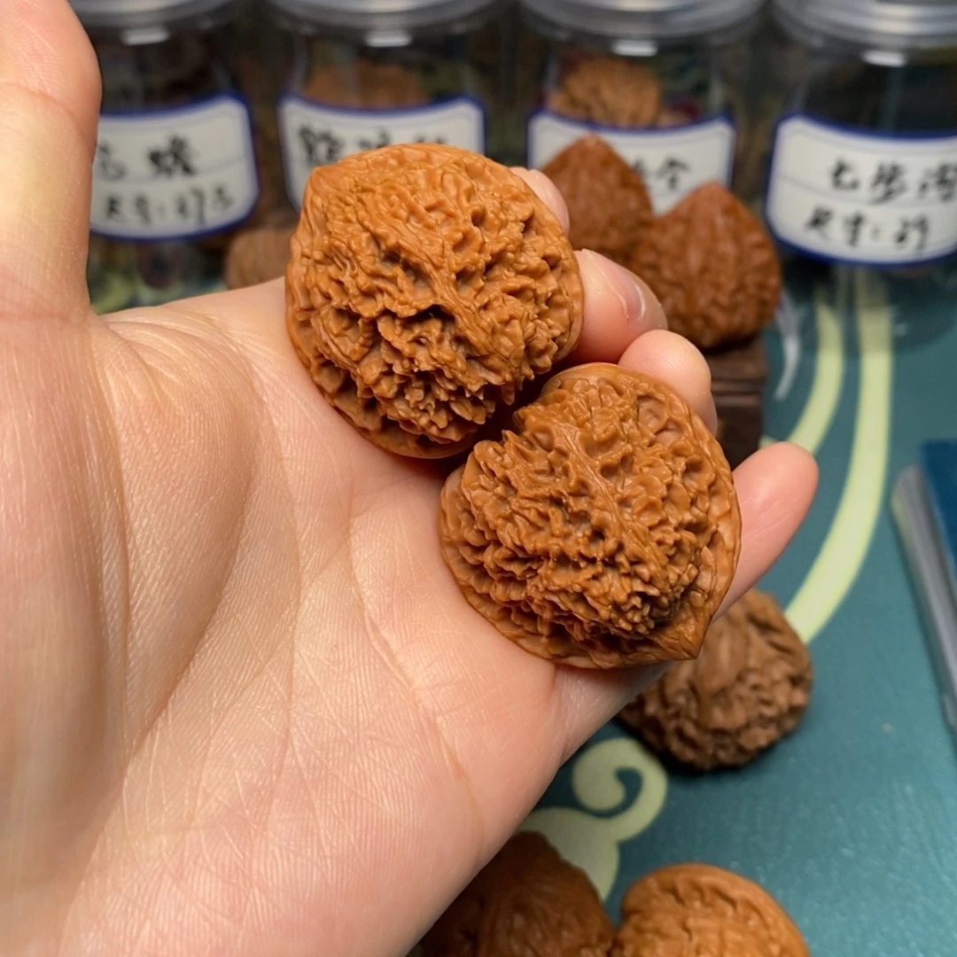 核桃34尺全品满天星
