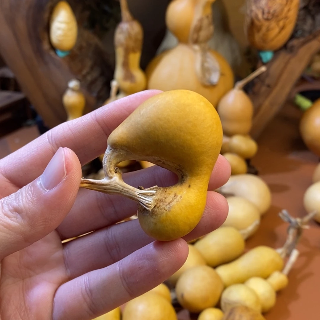 @***^教练教练咯教练经理