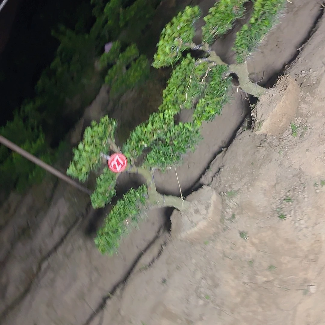 斌***哥无花朵1778465865896