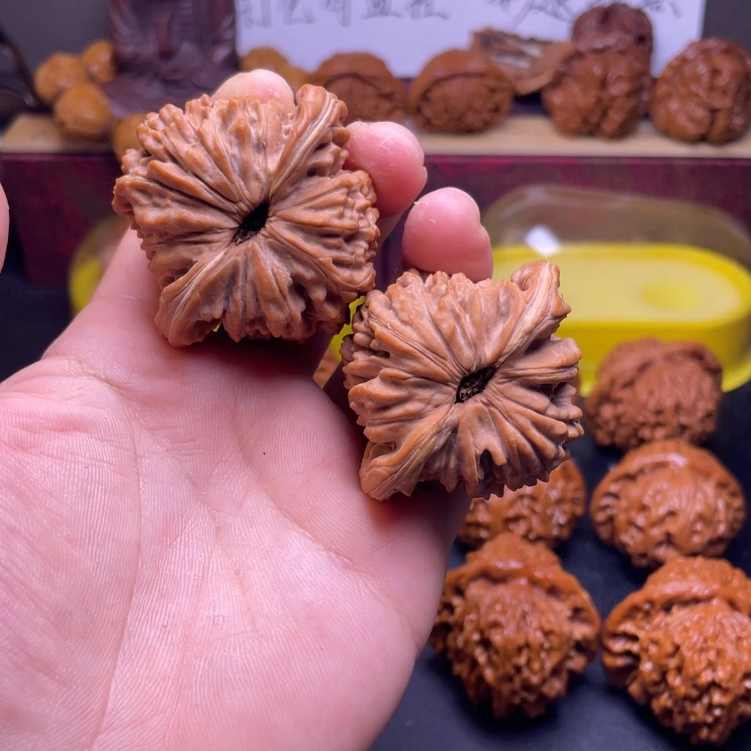 胖***星桃核吊坠四座楼福利