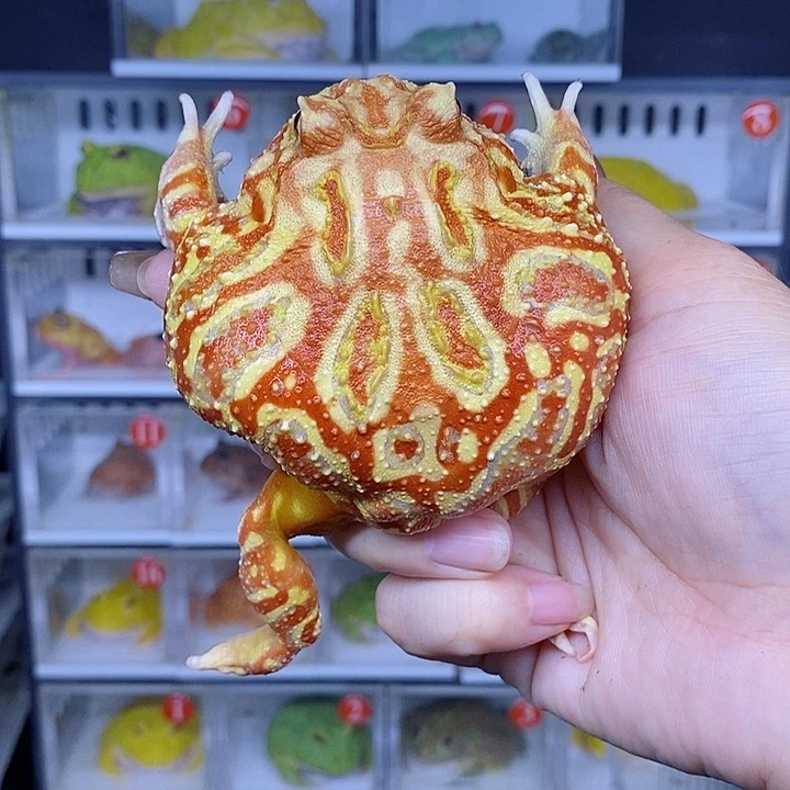 特价秒杀特价原价残