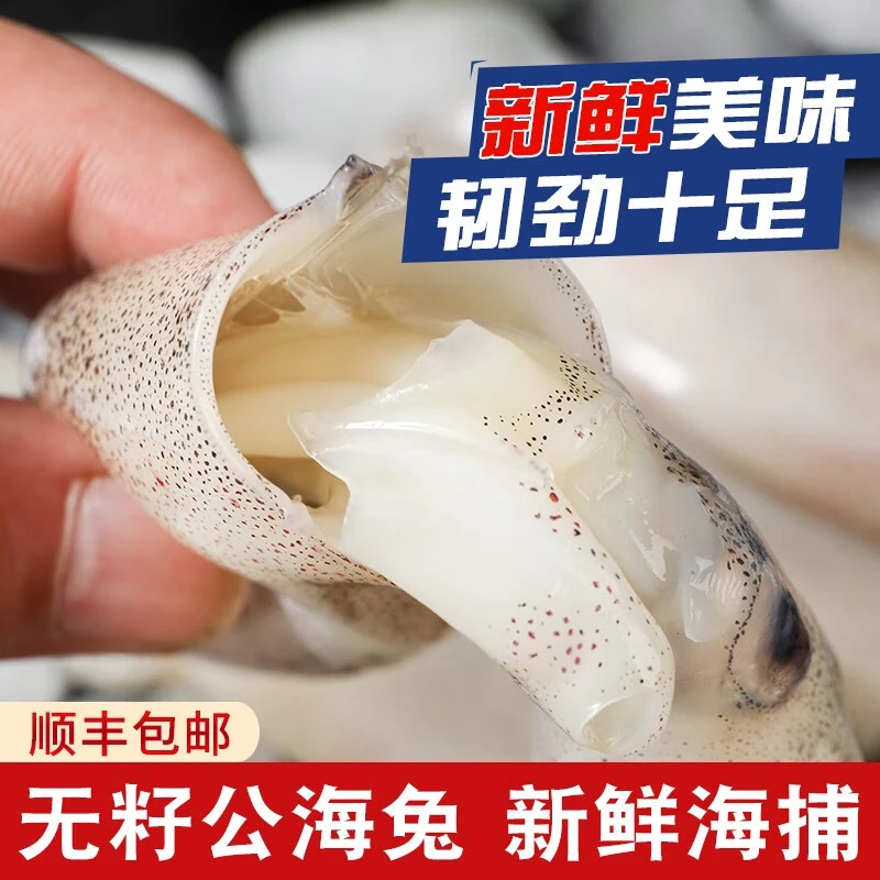 新鲜速冻笔管鱼无籽公海兔 鲜嫩海捕海兔小管鱿鱼 净重450克/包x4