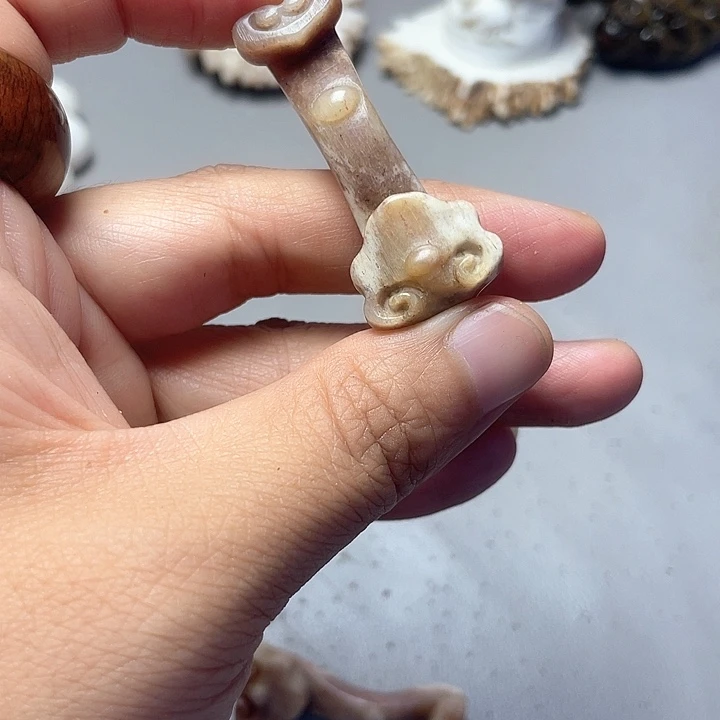 大果紫檀（缅甸花梨）