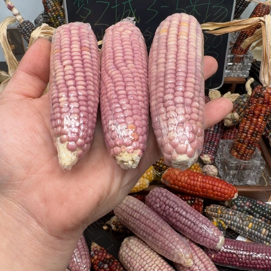 柏香籽/百香籽吊坠李**.