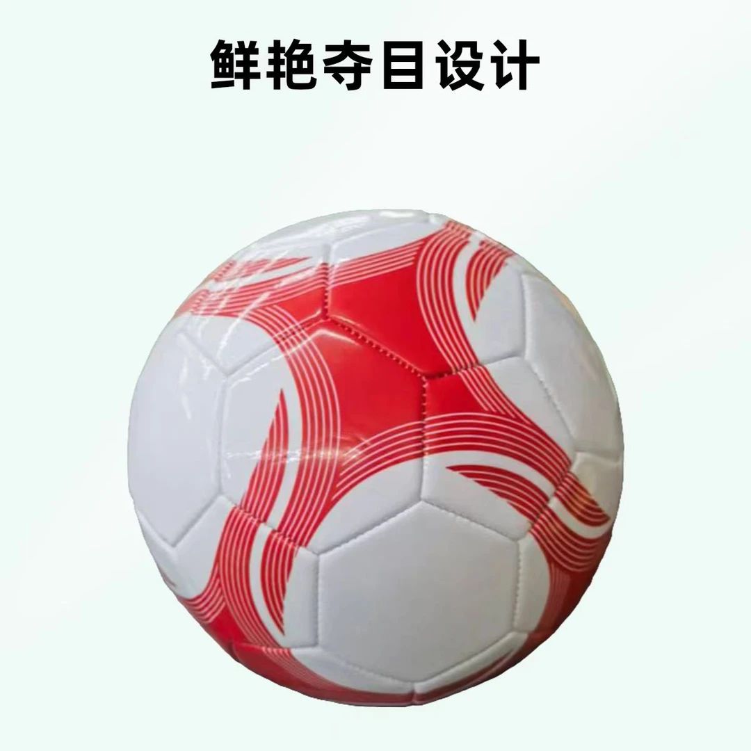 65541 5号足球(带充气泵)