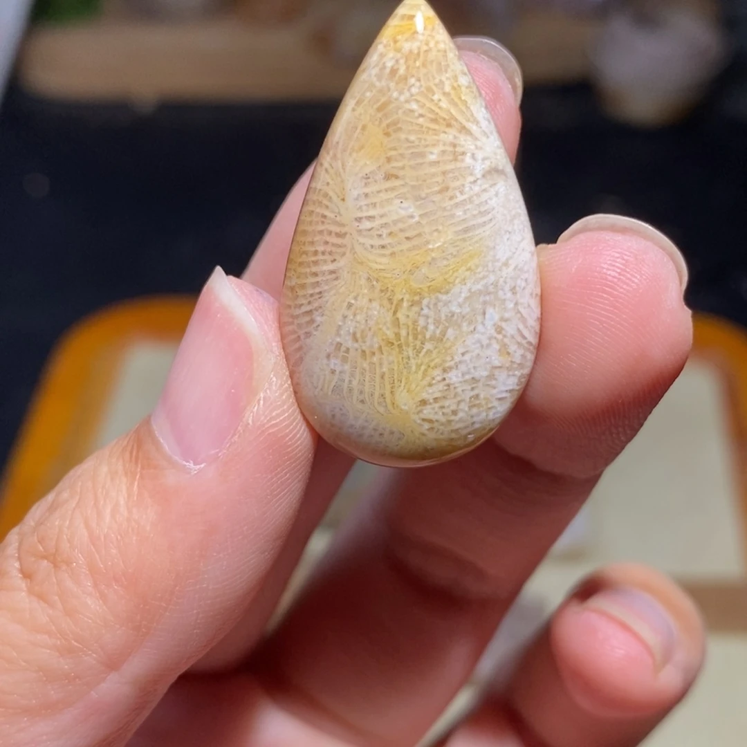 【闪购商品】硅化玉珊瑚玉未镶嵌