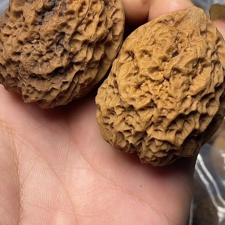 把件文玩核桃云南铁核桃38