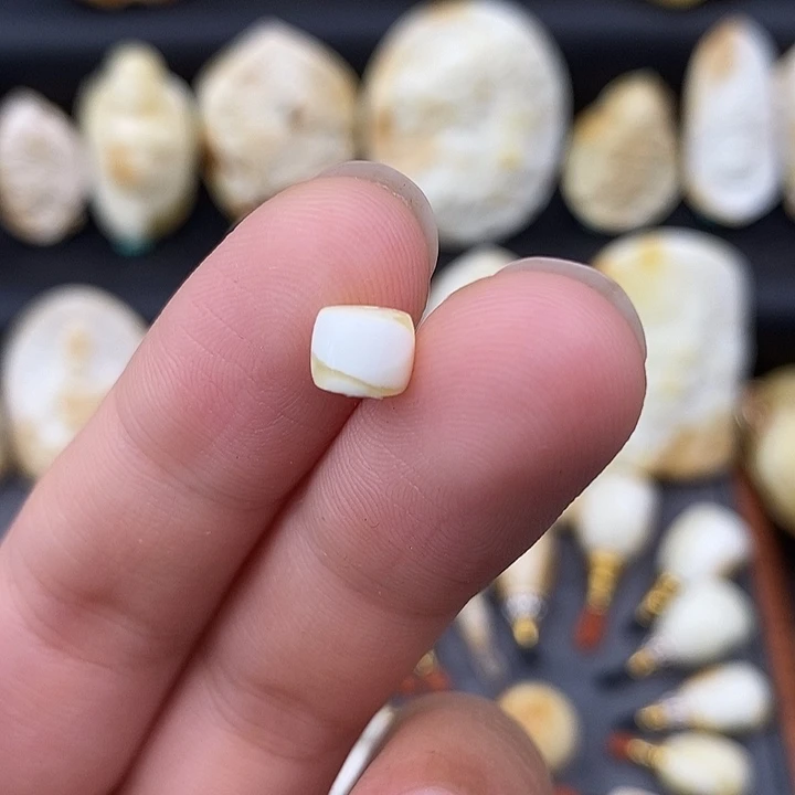 未镶嵌琥珀裸石6直切b430