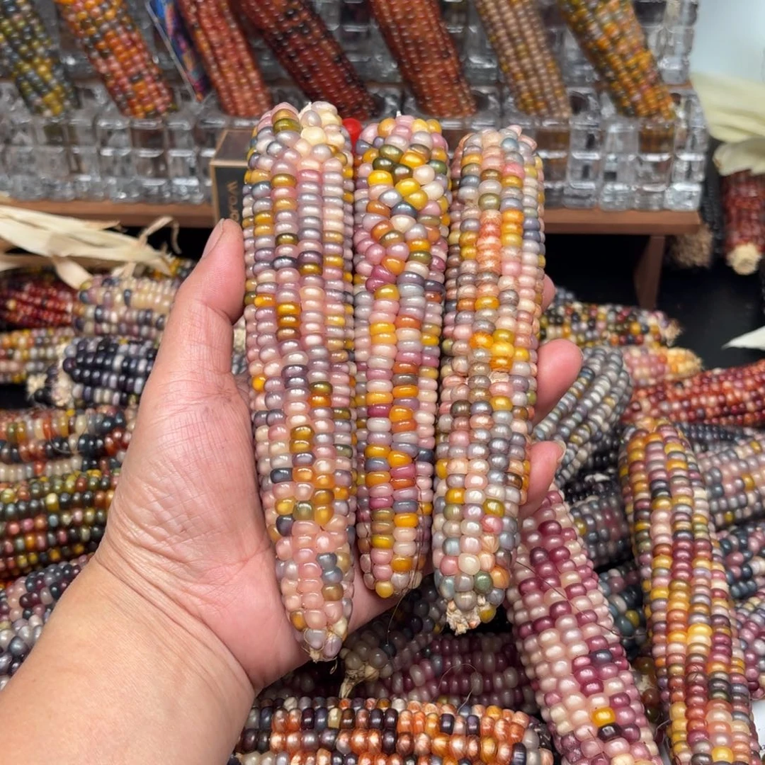 柏香籽/百香籽吊坠粥*?