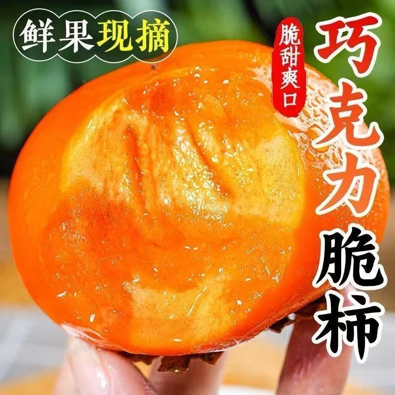 D现摘现发山西运城市新鲜巧克力脆甜柿子应季水果脆甜多汁不涩口