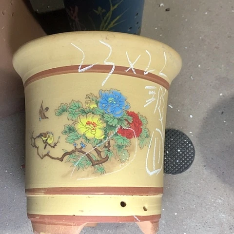 紫砂花盆西沙群岛和