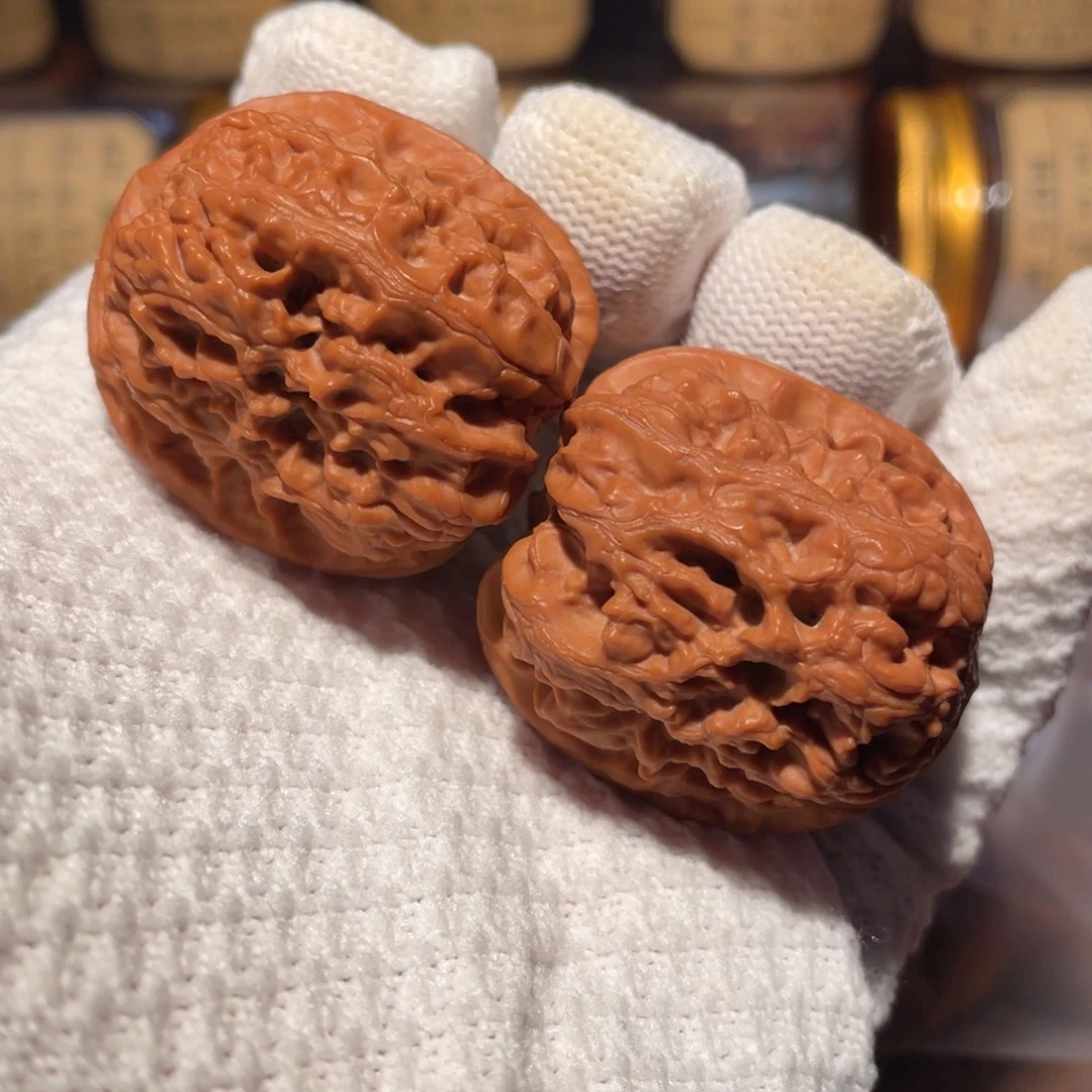 核桃西北将军jjjjj