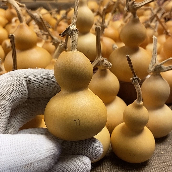 文玩葫芦 完美主义者 慎拍71