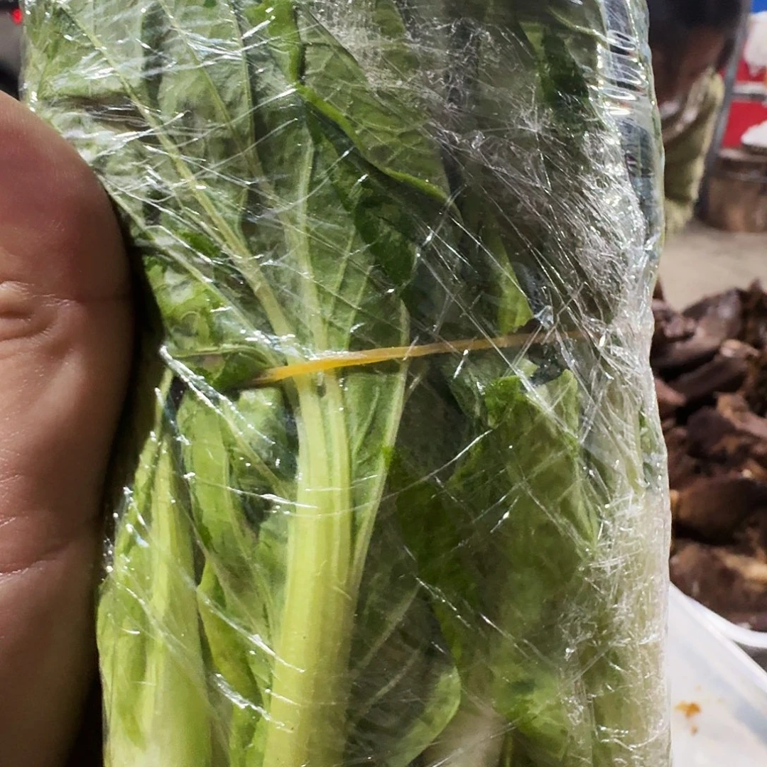 诺***白菜中国大陆青菜