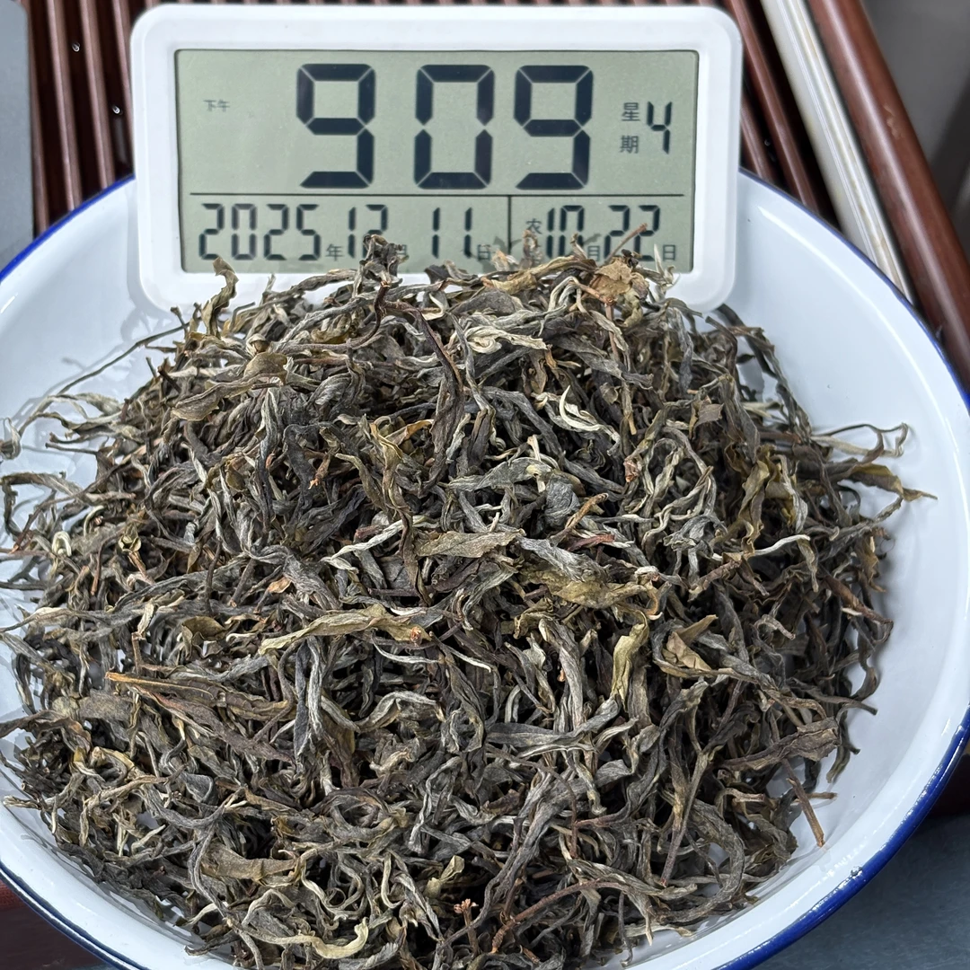 2025年滚岗5棵树古树单株 秋  散茶500克【691号】12-11