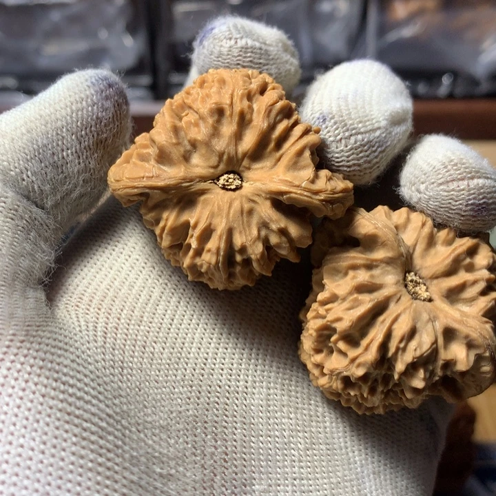 冬***瓜哈哈哈哈哈哈哈哈