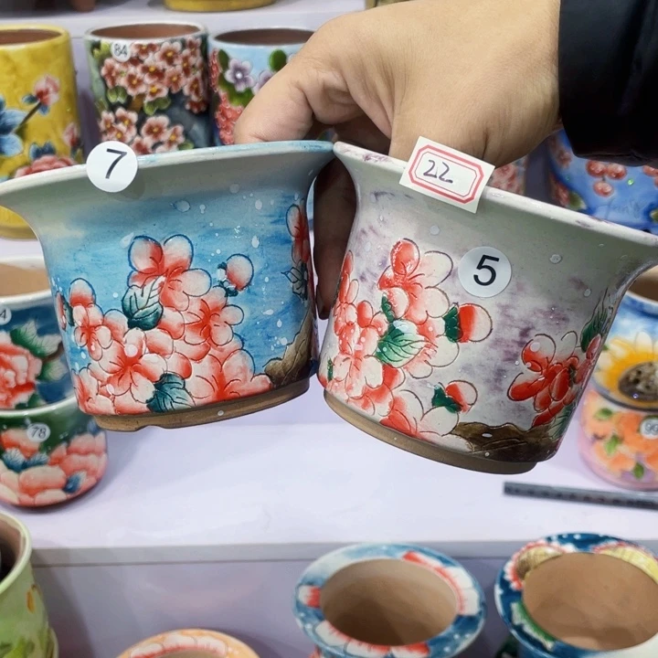 红陶我也不知道我为什么