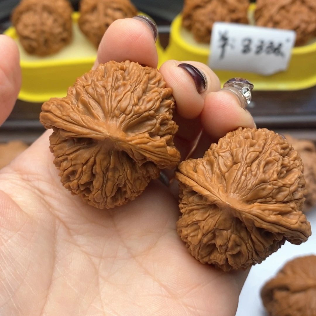 文玩核桃把件40尺水龙纹