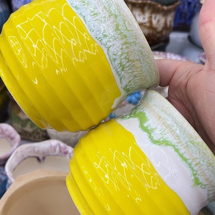 多肉植物陶瓷花盆