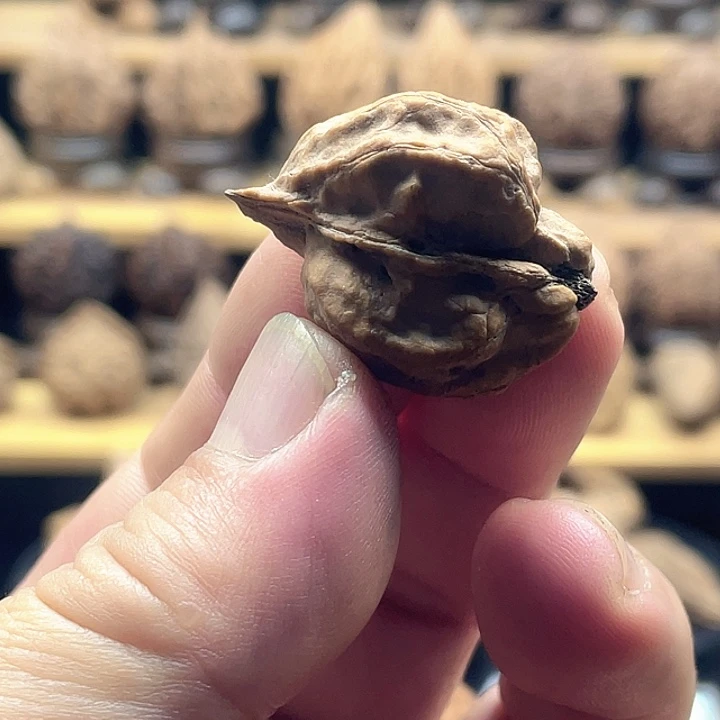 文玩核桃把件东北鸟