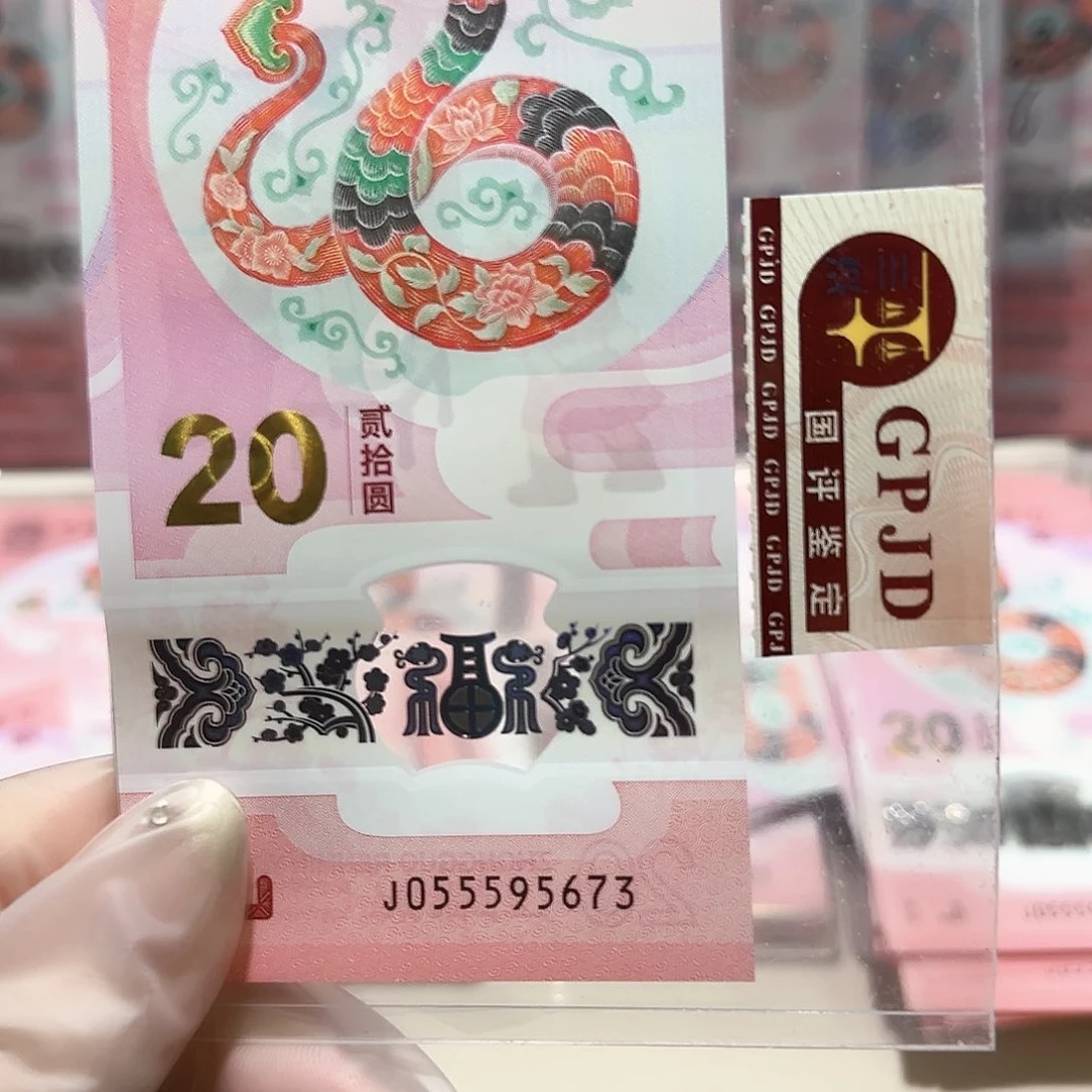 纸055595673。。。。。。。。。