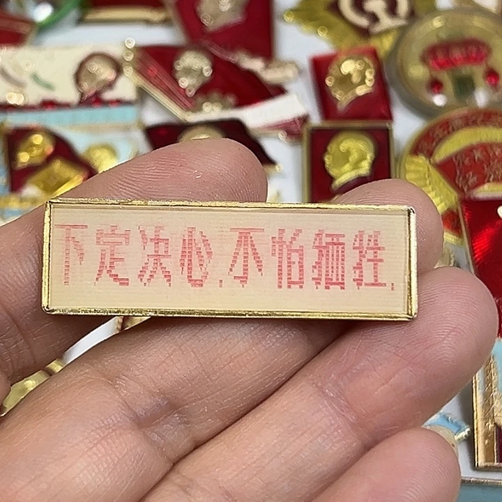 菠***弟其他普通金属纪念章