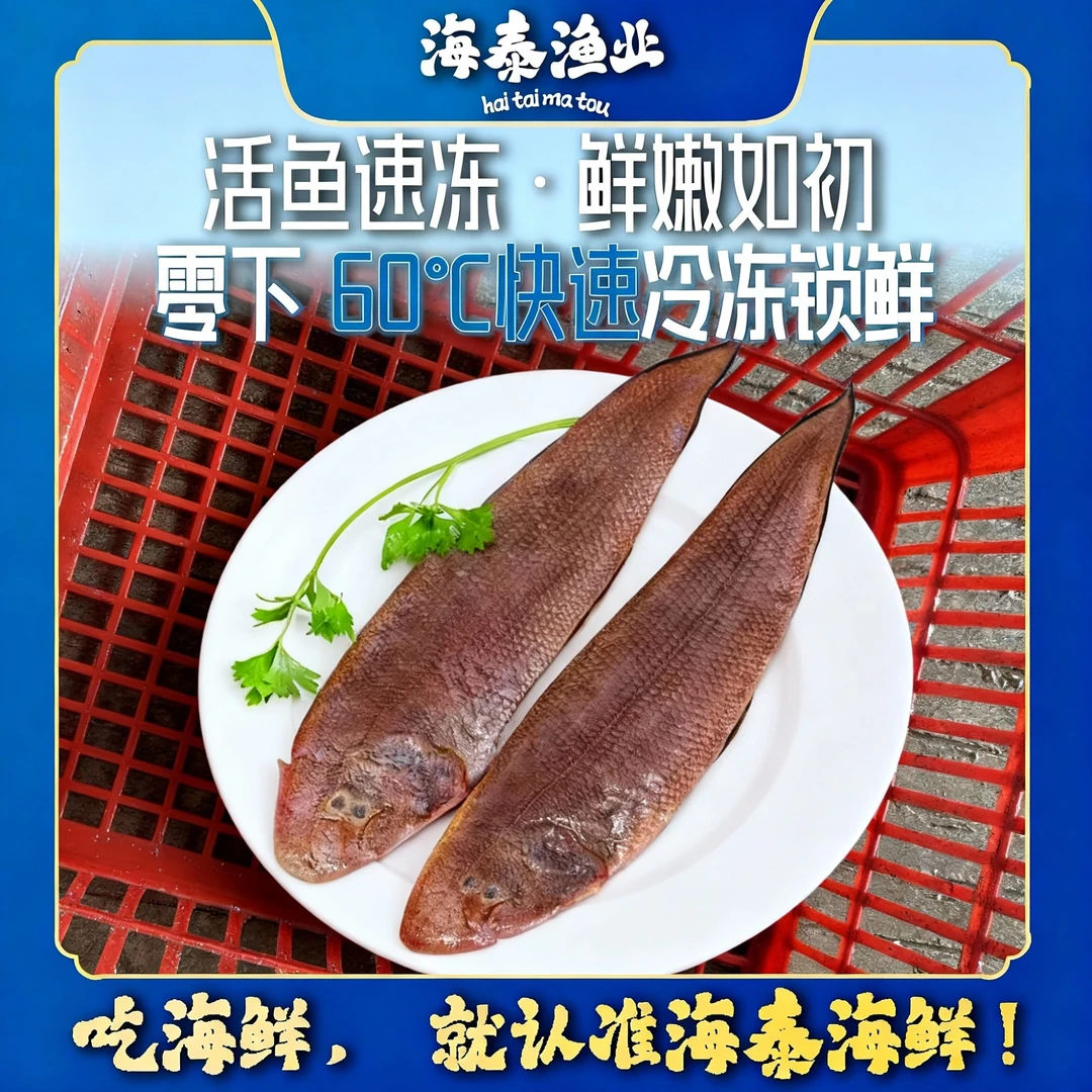 【龙利鱼】源自深海捕捞鲜活速冻冷链锁鲜直冷链到家