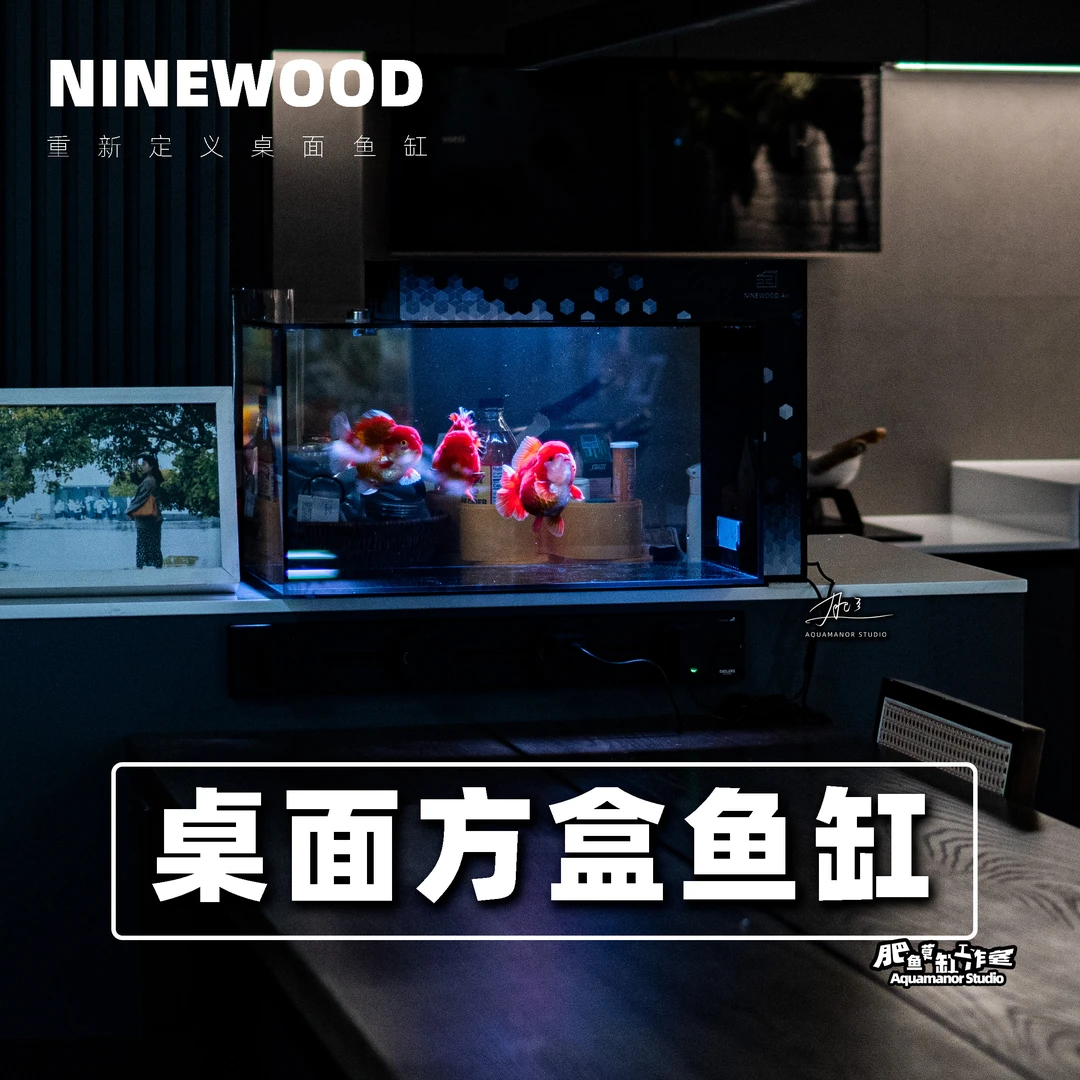 久物方盒一体式侧滤鱼缸客厅小型桌面缸封闭式超白玻璃生态水族箱