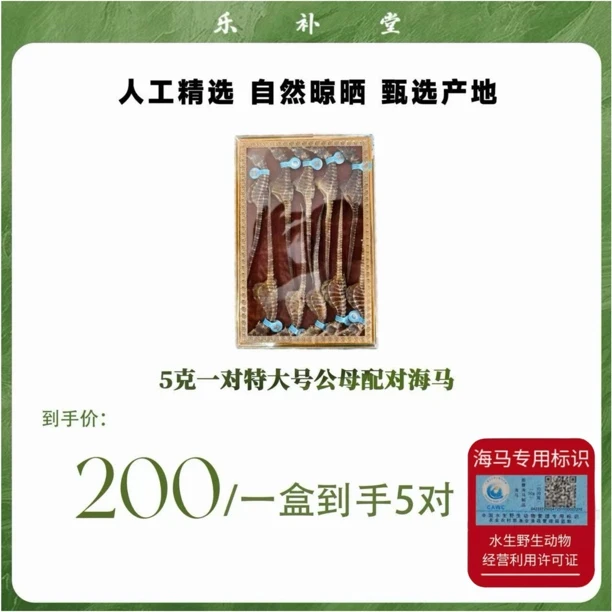 5克一对特大号公母配对海马